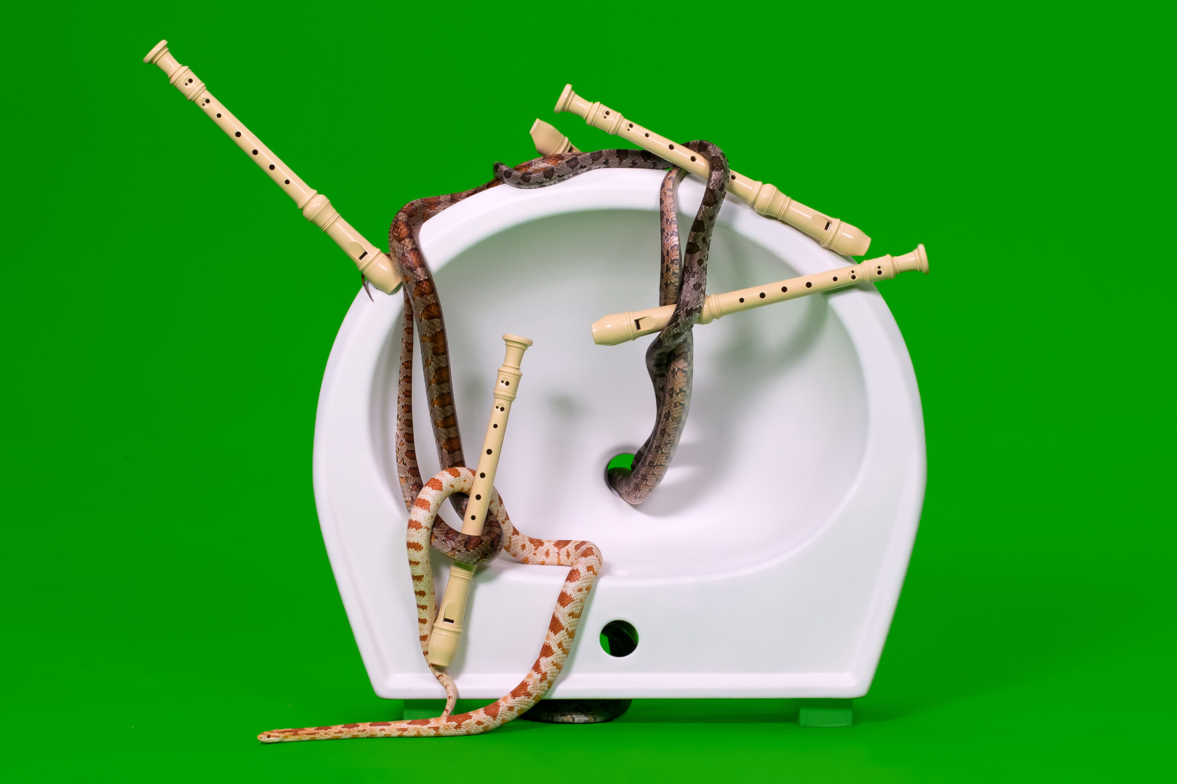 Пауль Барш и Тильман Хорниг. Sanitary Ceramics. Керамические раковины, смешанная техника. 2016 – наст. время. © Пауль Бар
