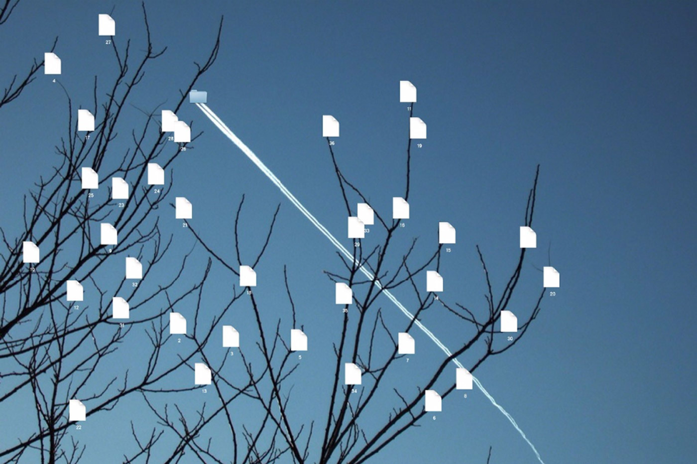 “Jet Folder&Data Tree” (2013) by Lin Ke.